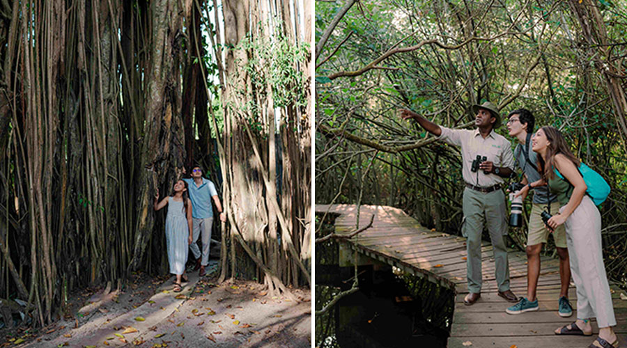 Cinnamon Nature Trails Redefines Urban Adventure with Ecotourism Expansion in Colombo