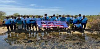 NDB Volunteers Support Mangrove Conservation Efforts at Anawilundawa