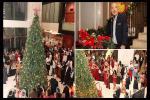 Festive Tree Lighting at NH Collection Colombo : Illuminating the Season with Style and Spirit