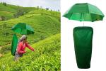 Kandurata Umbrellas unveil the Two Folding umbrella ‘tea plucking backpack’ at Industry Expo 2025