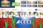 CCCI recognizes Northern coconut triangle as a key step in Sri Lanka’s socio-economic growth trajectory
