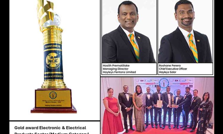 Hayleys Fentons Wins Gold in Electronic & Electrical Products (Medium Category) at NCE Export Awards 2025