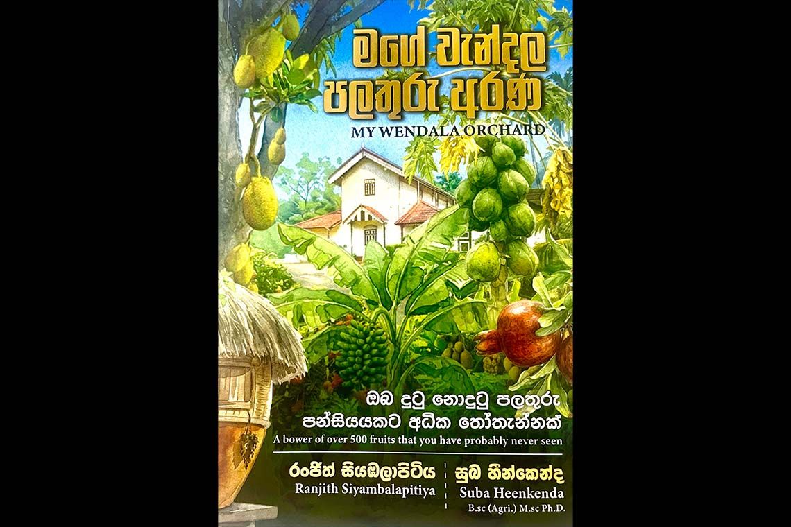 Ranjith Siyambalapitiya’s ‘My Wendala Orchard’ – a richly layered tribute to generations of cultivation