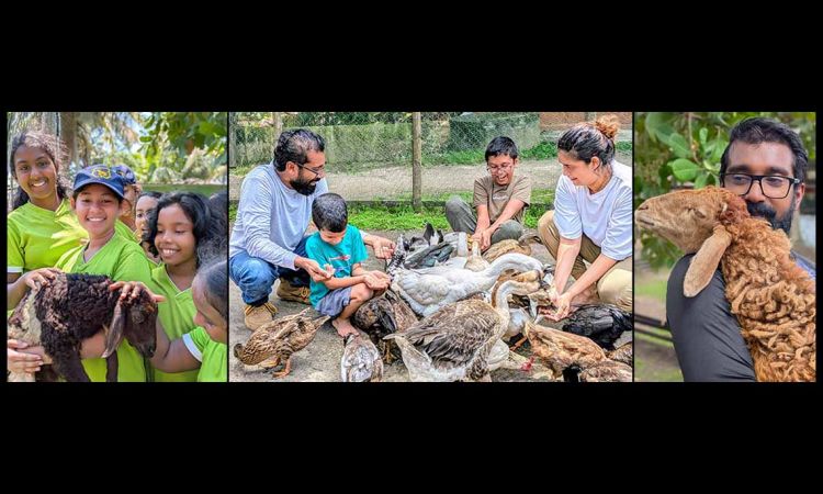 Panda Farmacy announces reopening following months of restoration after Cyclone Ditwah
