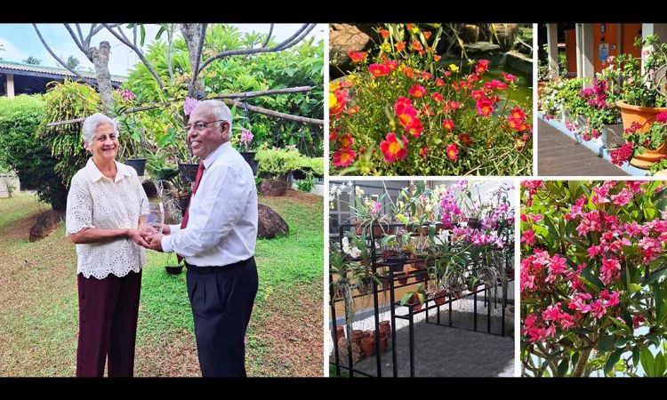 She came for retirement – and made the garden bloom at La Serena