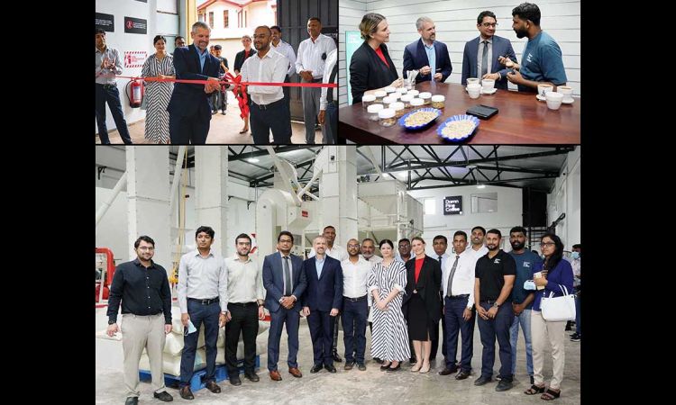 Damn Fine Coffee and Australia's MDF Launch Sri Lanka's First Dedicated Coffee Dry Mill