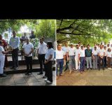 Ceyline Group unveils ‘Roots for the Future’ national reforestation initiative to celebrate 40th Anniversary