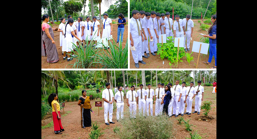 Prasara Commits to take Hela Osu to the Next Generation with the new Herbarium