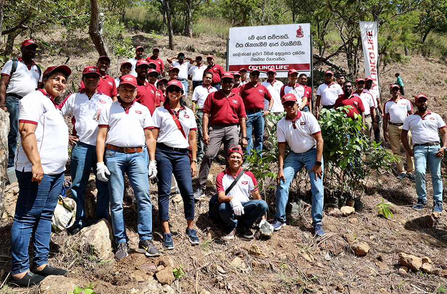 Ceylinco Life to restore and maintain 10 acres of forest in Balangoda