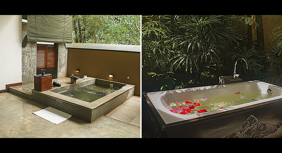 Aditya Resort and Christell Life Luxury Medical Wellness Destination