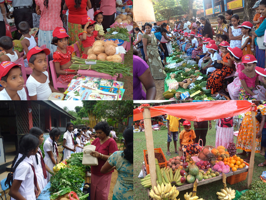 seylan-tikiri-pola