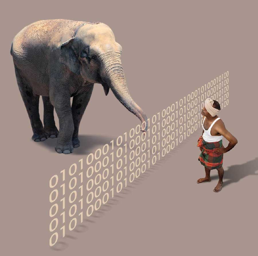businesscafe SLT Mobitel Elephant Decoder Hackathon Aims to Create Pathway for Tech Solutions to Curb Human Elephant Conflict