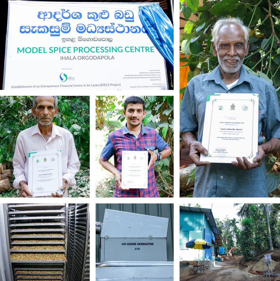 businesscafe SANASA empowers rural communities with Model Spice Processing plant in Orgodapola