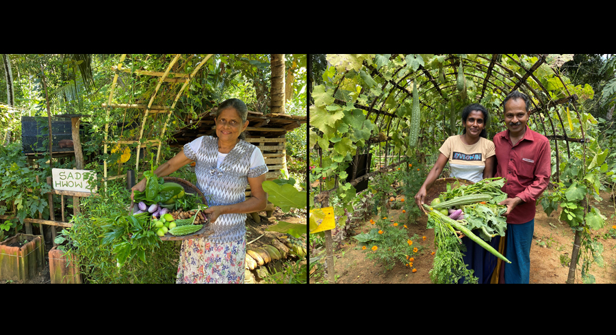 Outreach Projects empowers 87000 beneficiaries island wide through purpose led community initiatives