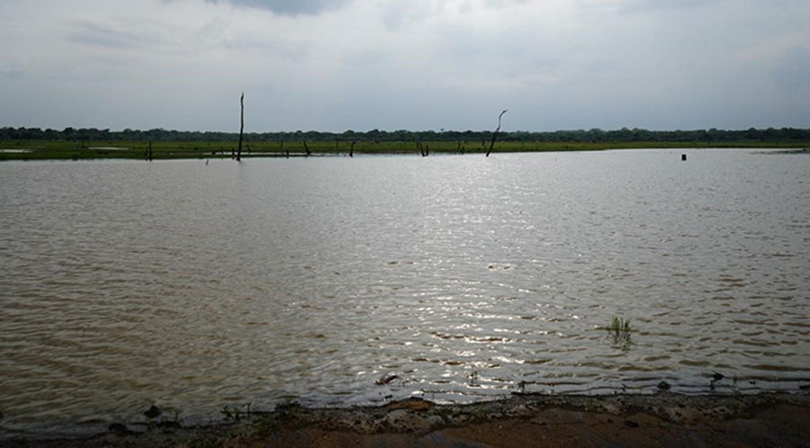 Ripples of Difference Empowering communities through sustainable water practices