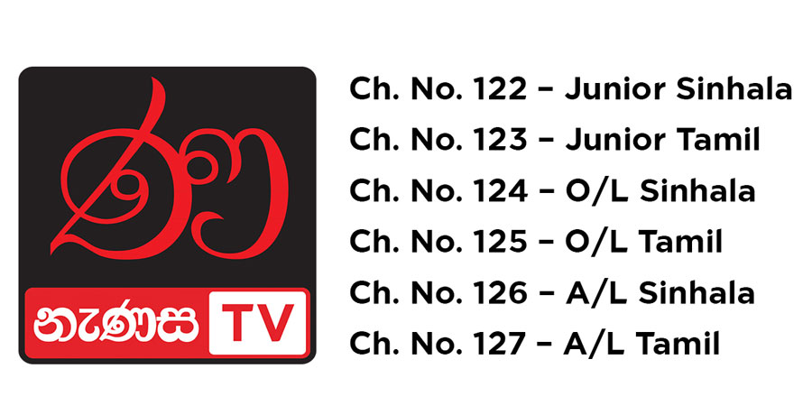 Learning made accessible for all grades through Nenasa TV