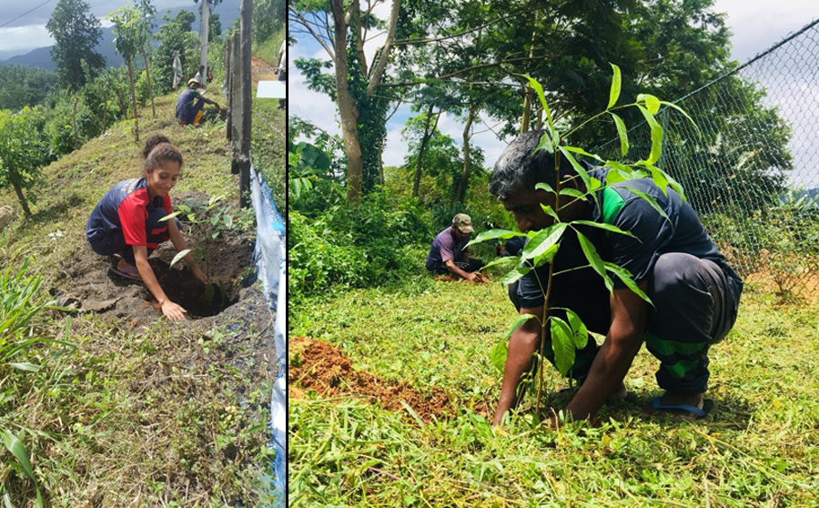 Crysbro Haritha Sathkaraya introduces new initiatives to improve green practices