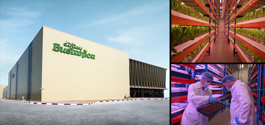 Emirates Flight Catering Opens World s Largest Vertical Farm in Dubai