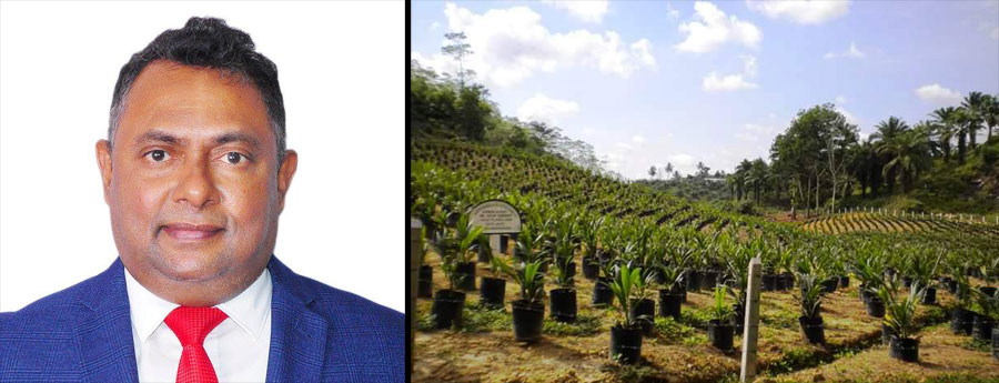Prins Gunasekera Namunukula Plantations