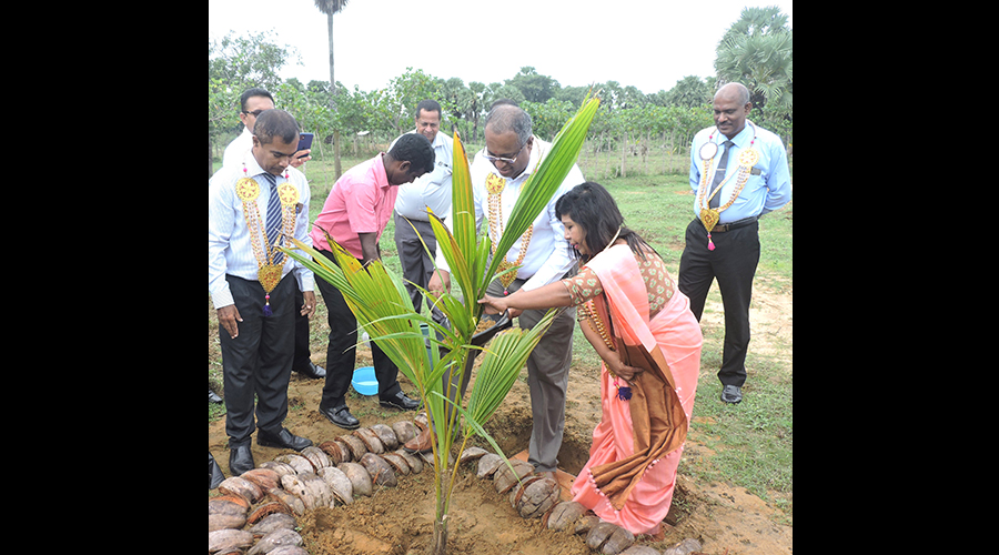 Haycarb PLC s Vision for a Greener Future A Partnership for Sustainable Coconut Farming and Community Prosperity