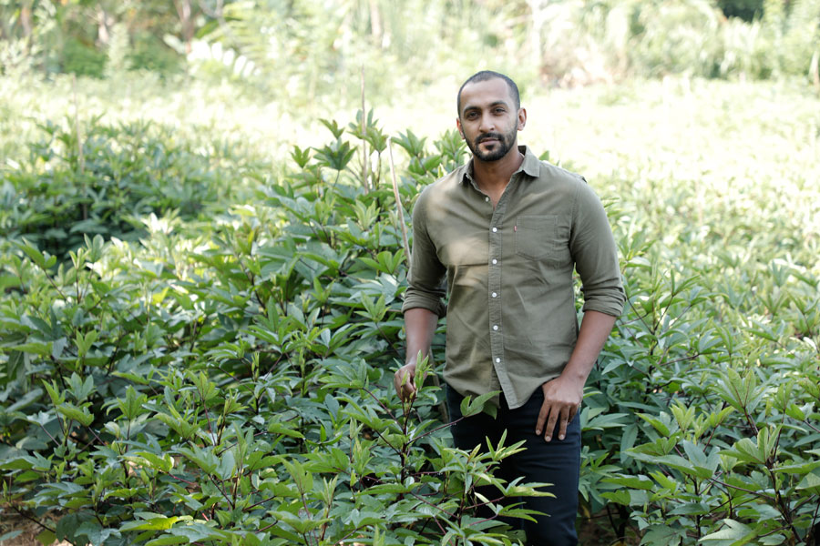 Ceylon Hibiscus Founder Mr. D. N. Silva