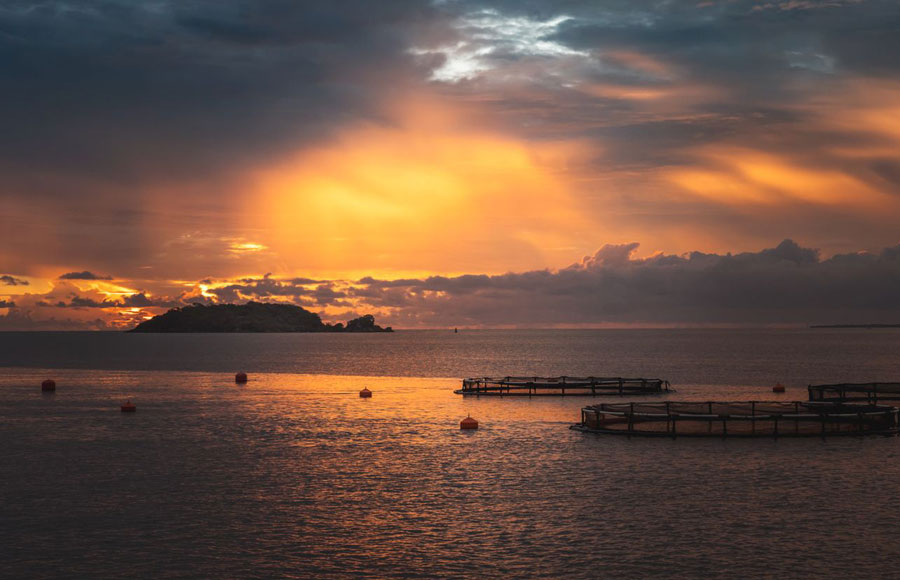 Oceanpick Oceanic Fin Fish Farm