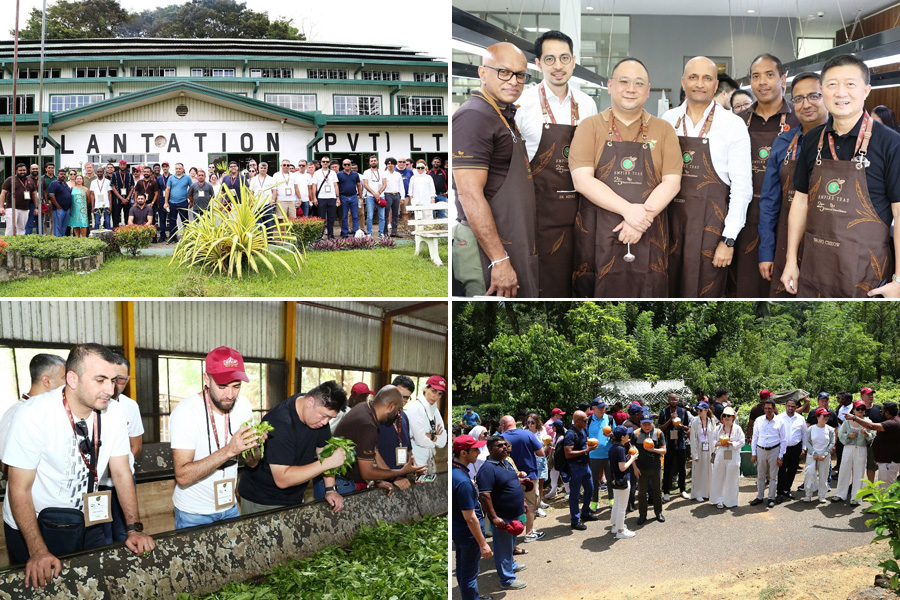 Empire Teas hosts global partners for 25th anniversary celebrations