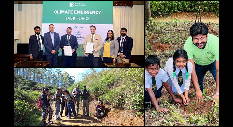 Leading Climate Resilience from Sri Lankas Tea Fields