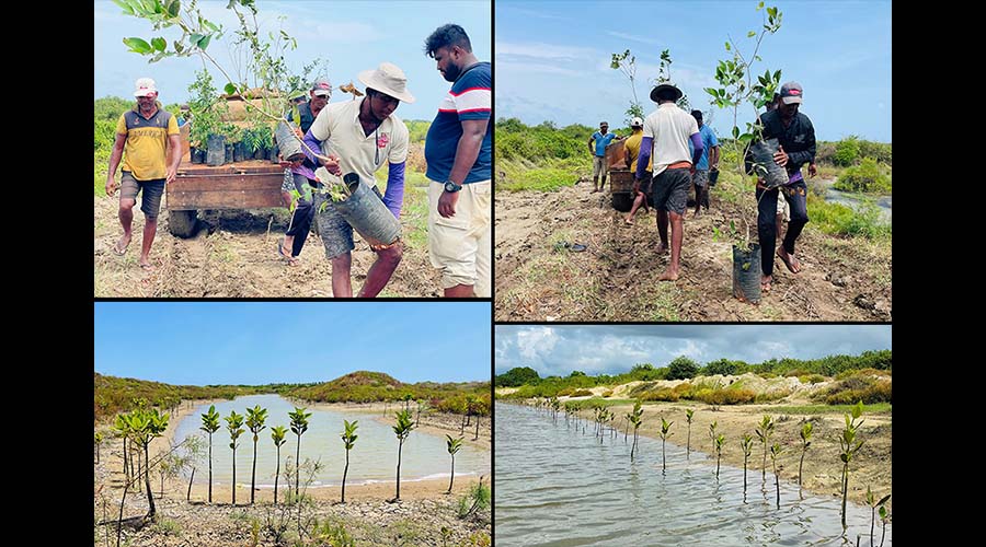 Dilmah Strengthens Sri Lankas Water Ocean Stewardship