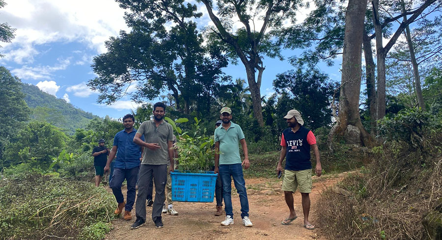 Preserving Flora and Fauna in the Heart of Sri Lankas Tea Country