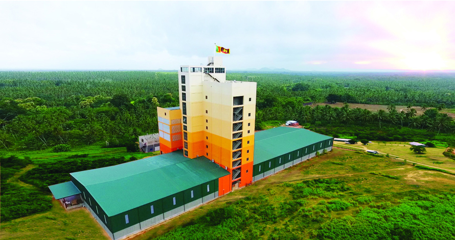 Counting chickens How the poultry industry delivers food security