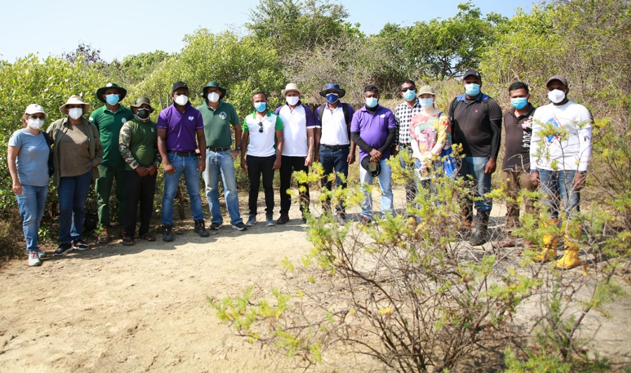 Hemas champions its mangrove restoration project on World Wetlands Day