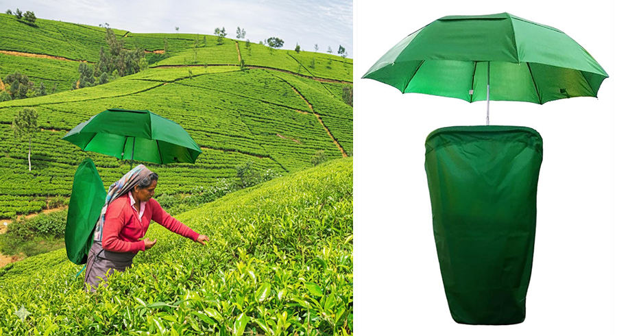Kandurata Umbrellas unveil the Two Folding umbrella tea plucking backpack at Industry Expo 2025
