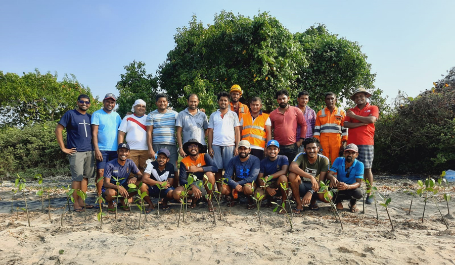 INSEE Cement to Launch Next Phase of Globally Acclaimed Mangrove Restoration Project in June