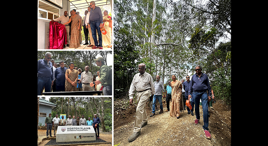 Tokyo Cement Encourages Forest Bathing in The Horton Plains