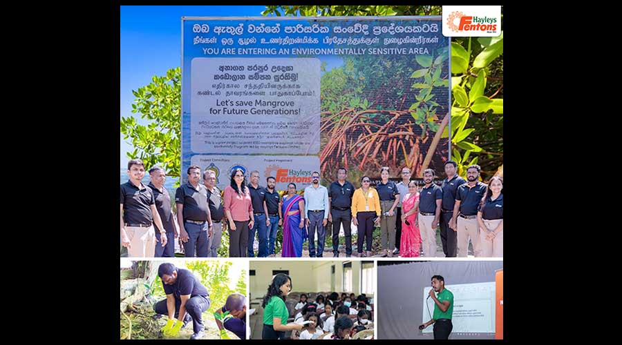 Hayleys Fentons Marks Strong Progress in Roots of Resilience Mangrove Restoration Project
