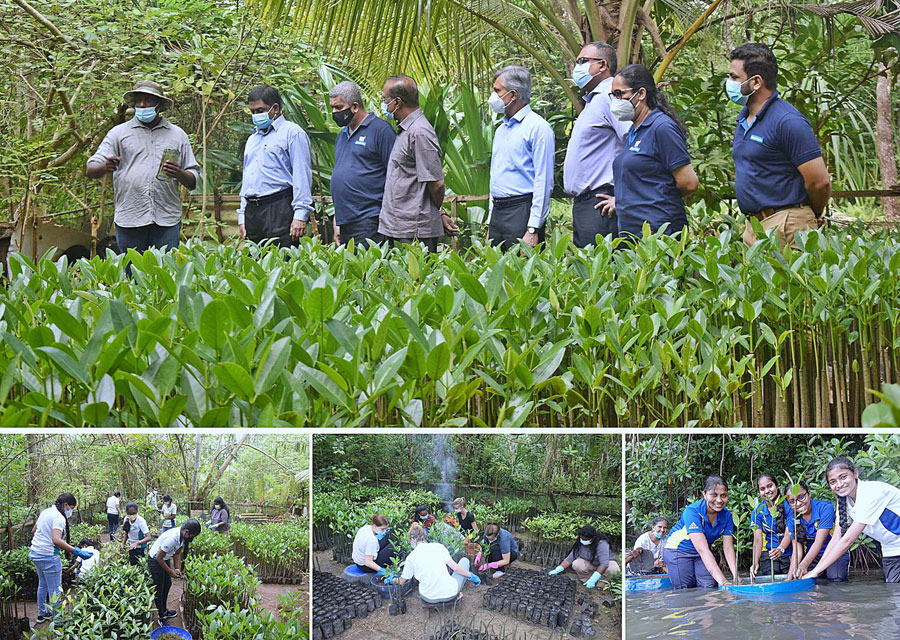 ComBank commits more funds to expand Koggala mangrove restoration project