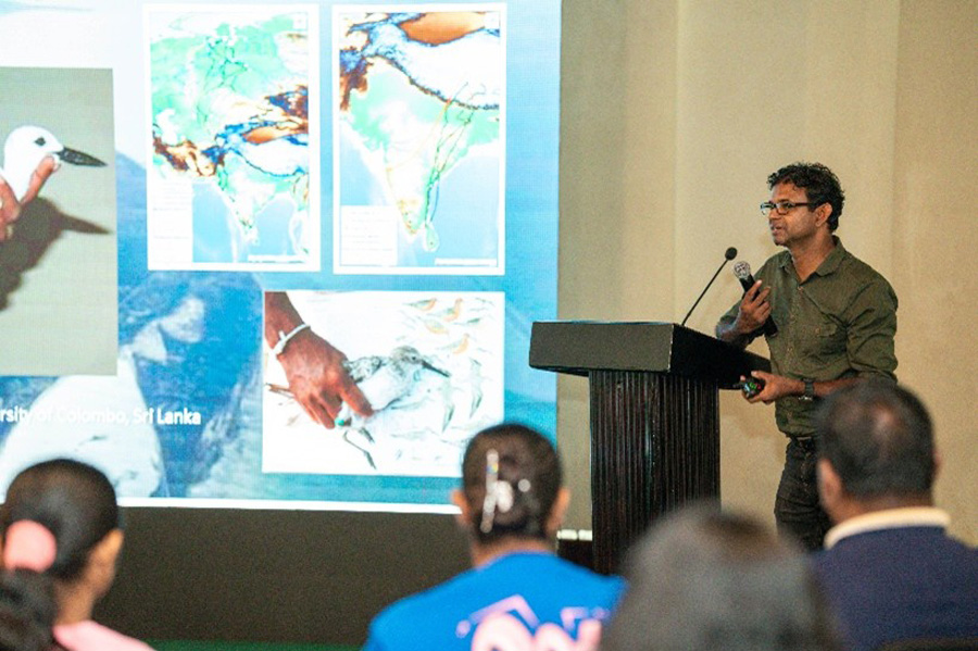 Seylan Cards collaborates with Cinnamon Hotels Resorts to host The Gathering of Giants for 2nd consecutive year Image
