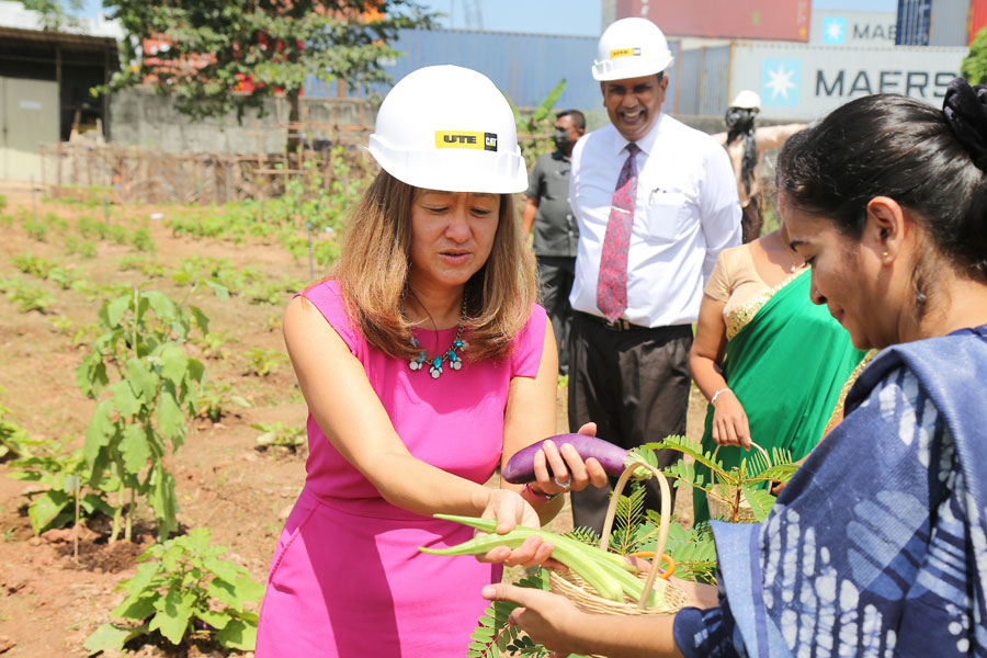 UTE launches Grow Your Own Food home gardening project for employees