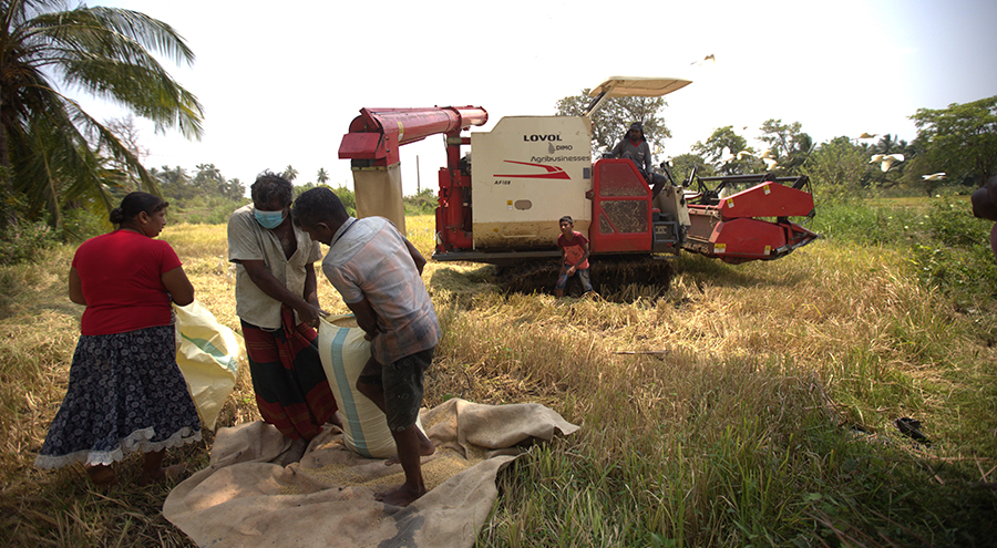 DIMO Agribusinesses doubled the market share for its LOVOL harvester through exceptional aftersales service