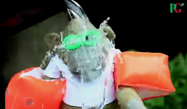 pg-tips-monkey