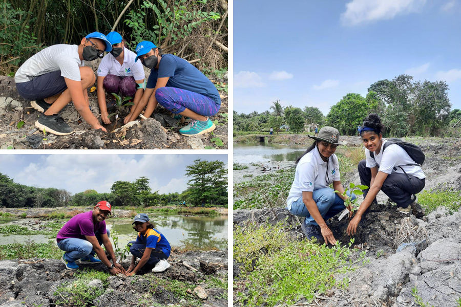 businesscafe Standard Chartered Sri Lanka Plants 627 Trees for Earth Day