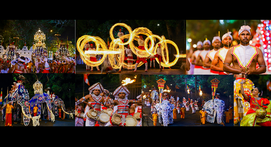 Highlights of the Vibrant Kandy Esala Perahera
