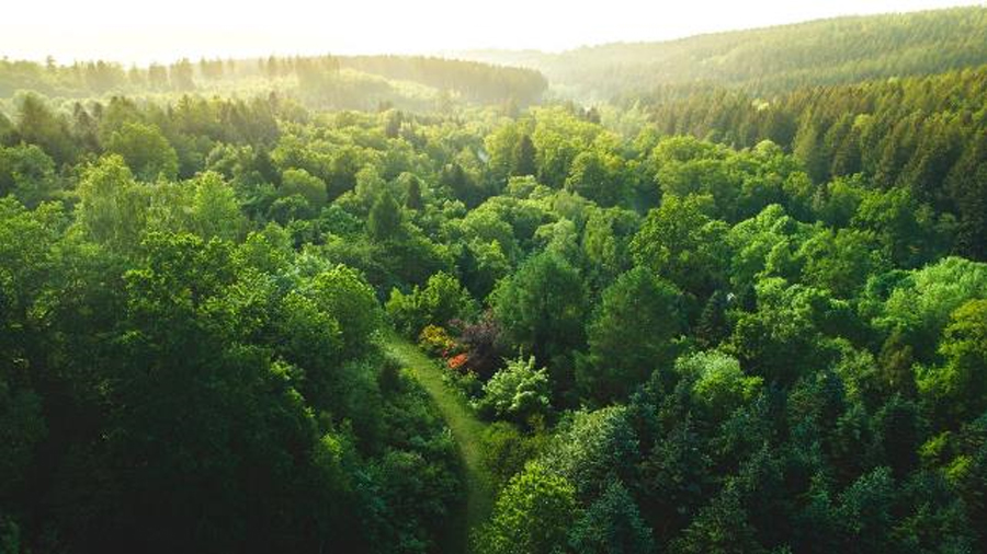 Cathay Pacific Cargo introduces Fly Greener the carbon offset programme for air freight