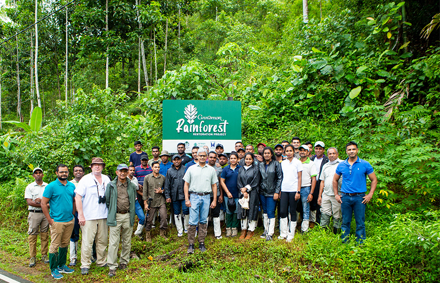 Cinnamon Rainforest Restoration Project