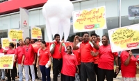 Clogard Marks World Oral Day Health with Cavity Eradication Campaign