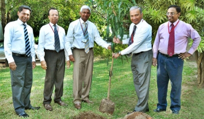 Ceylinco Life dedicates 2016 to ‘Going Green’