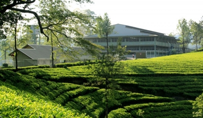 All tea estates of Watawala Plantations now Rainforest Alliance certified