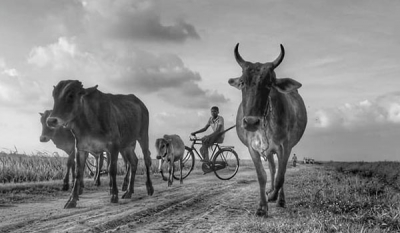 Huawei honors &quot;Beautiful Sri Lanka&quot; Photography excellence uplifting country destination